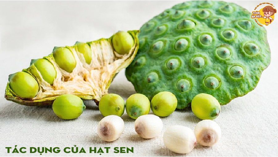 Tác dụng của hạt sen sấy