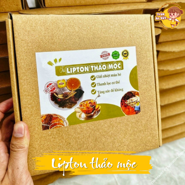 Combo 10 set trà Lipton thảo mộc giải nhiệt